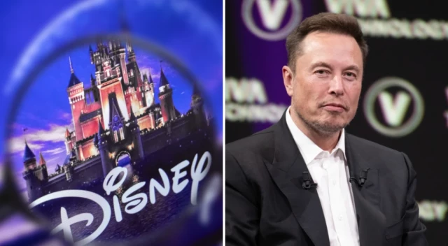 Elon Musk Reveals Criteria For Buying Disney